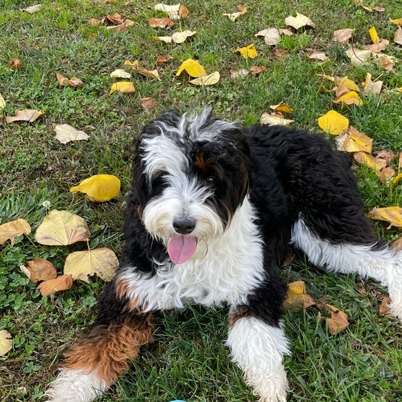 CURATED OUTFIT STYLES FROM MY CLOSET. Most of these garments are for sale. - Picture 17 of 17